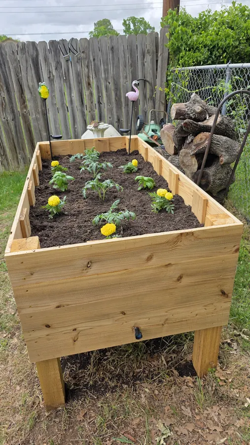 Finished raised garden bed with soil and plants